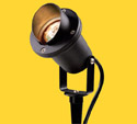 Corona Outdoor Spotlight